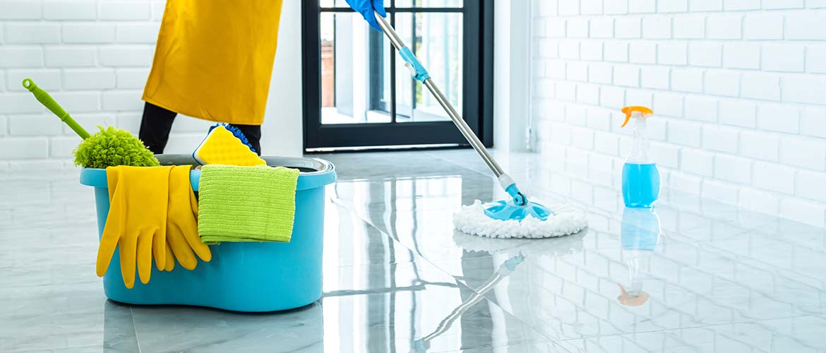 Basic Cleaning & Care